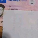 buy dutch drivers license online without exams