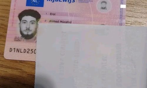 buy dutch drivers license online without exams